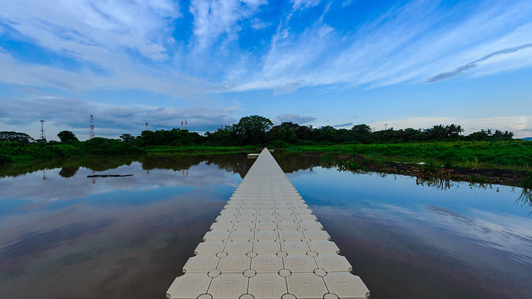 kranji marshes platform