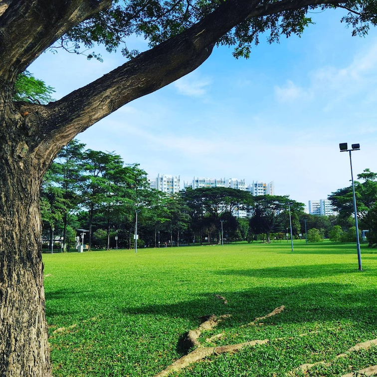 new year's eve fireworks - Boon Lay Jurong Central Park