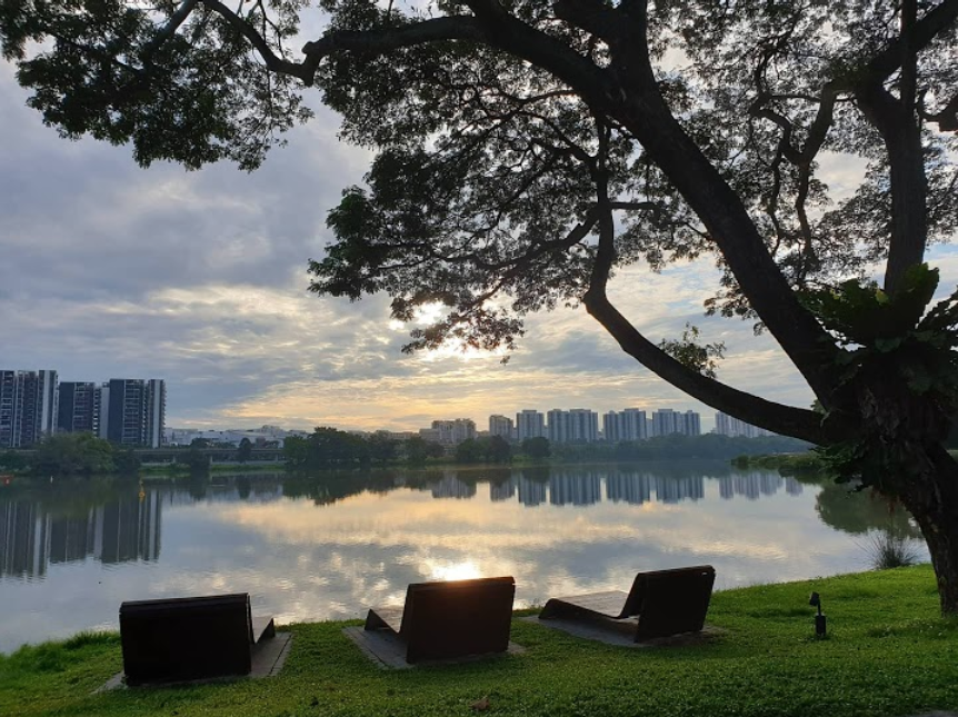 new year's eve fireworks - clusia cove jurong lake gardens