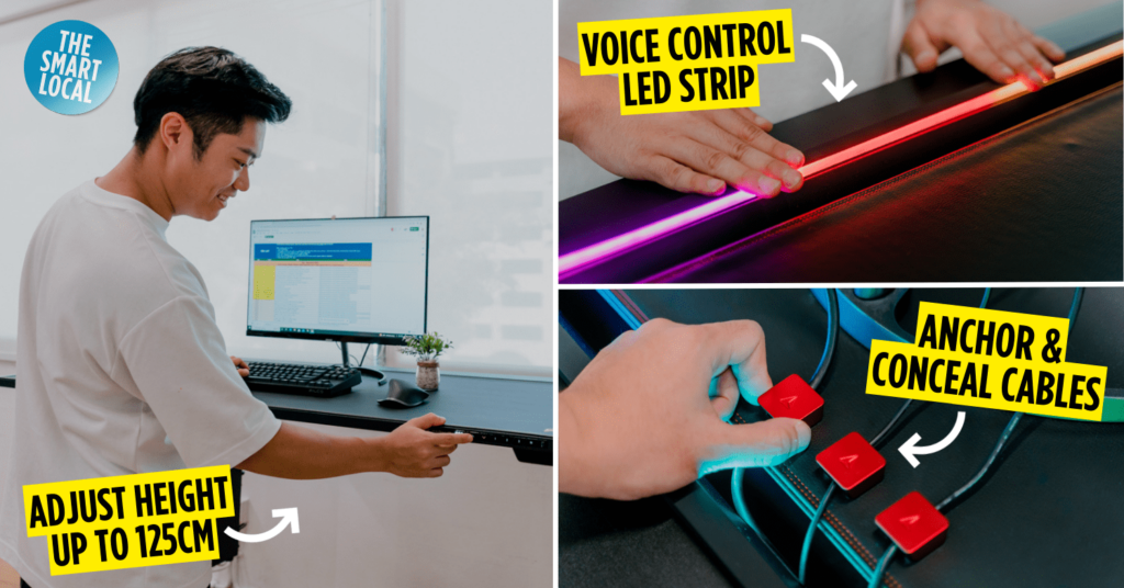 Secretlab MAGNUS Pro Standing Desk