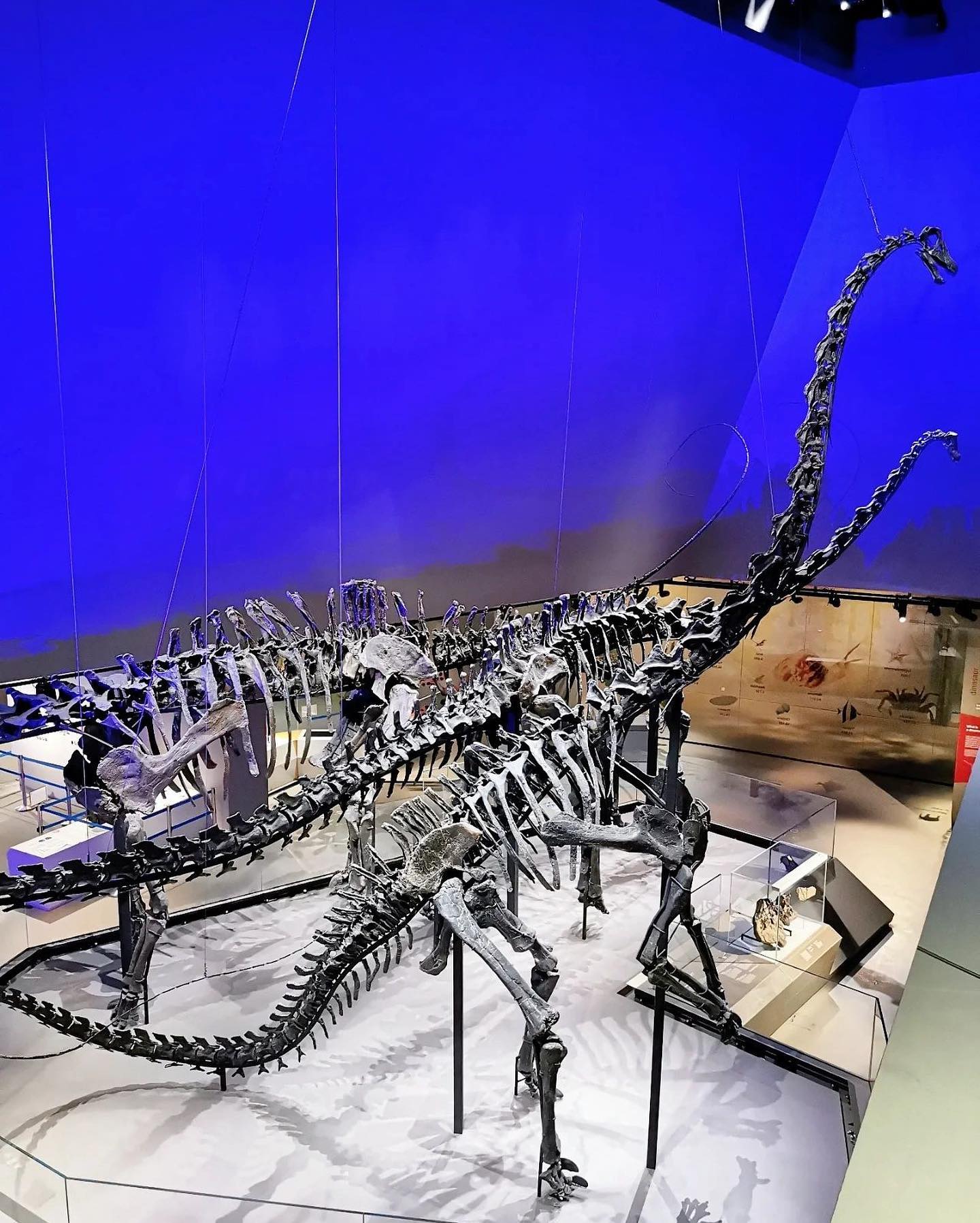 Lee Kong Chian Natural History Museum - Jurrasic World