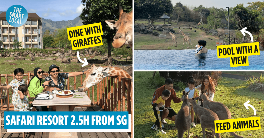 Baobab Safari Resort - cover image