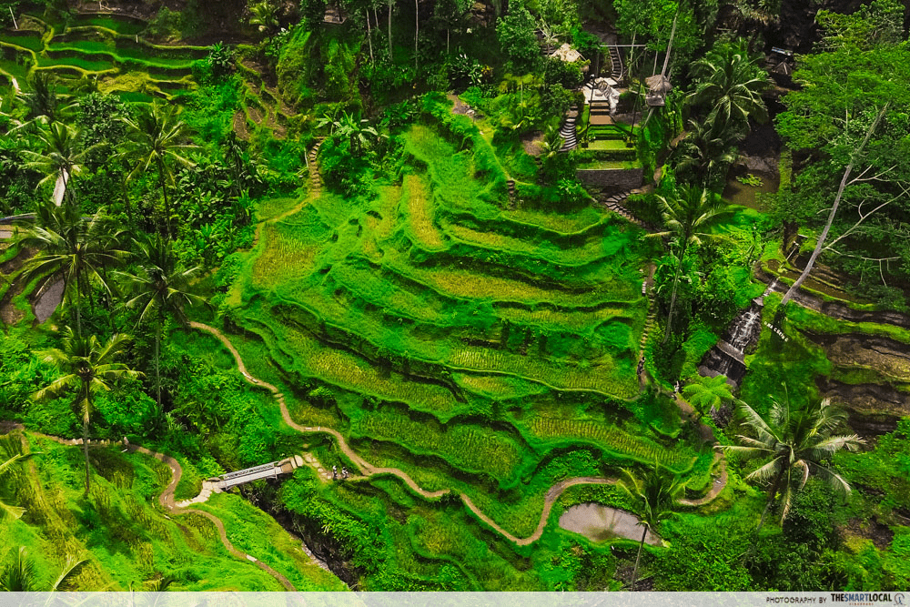 3D2N Bali Itinerary - Ceking Rice Terrace aerial view