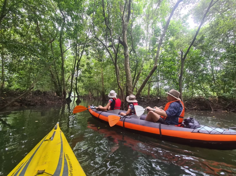 Kayak a Secret Mangrove expedition