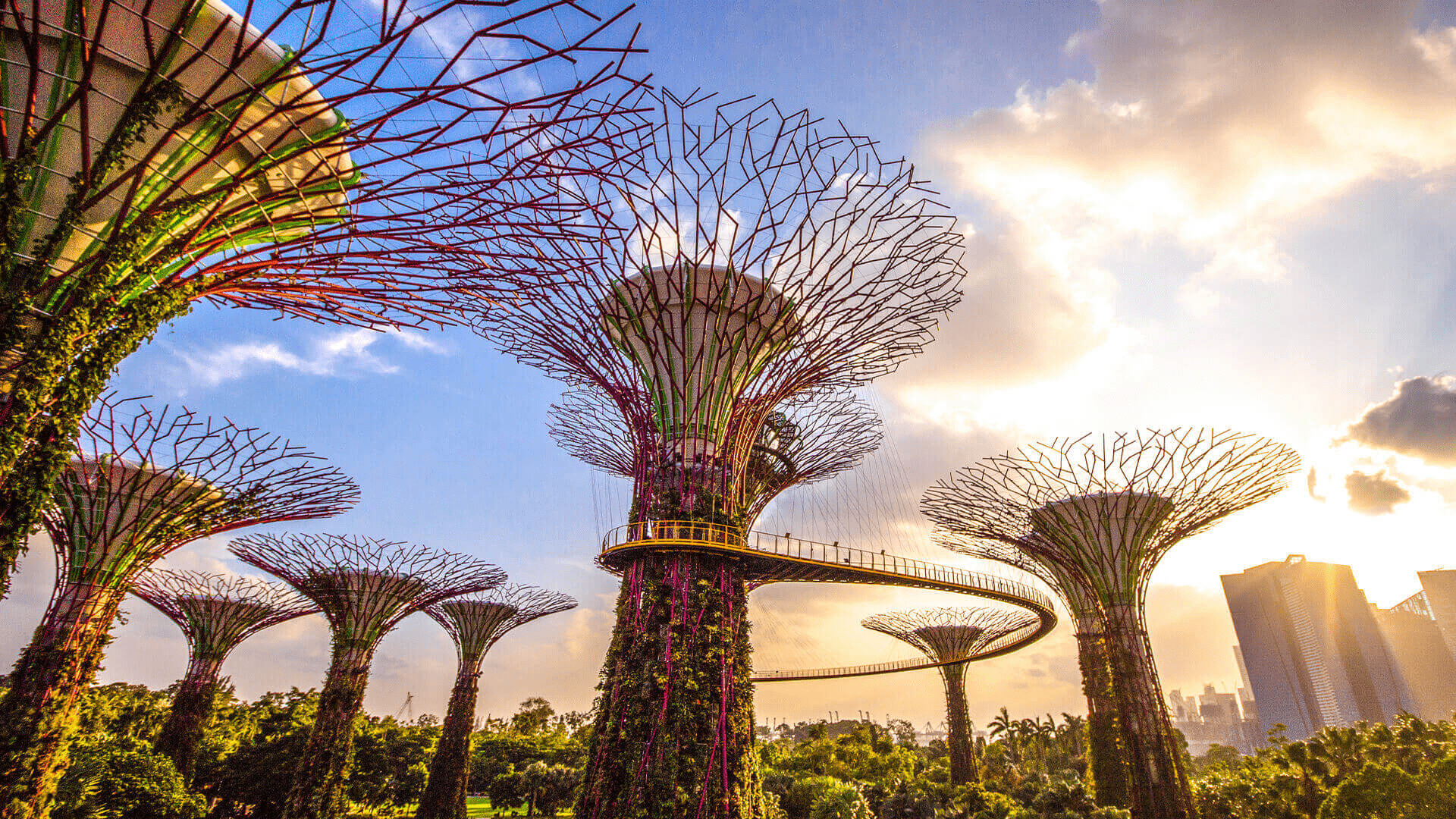 Supertree Grove