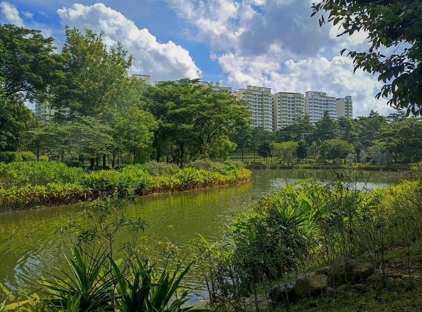 punggol activities